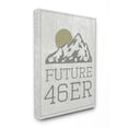 thumbnail image 1 of Stupell  Future 46er Hiking Adirondacks Stretched Canvas Wall Art 16 x 20, 1 of 5