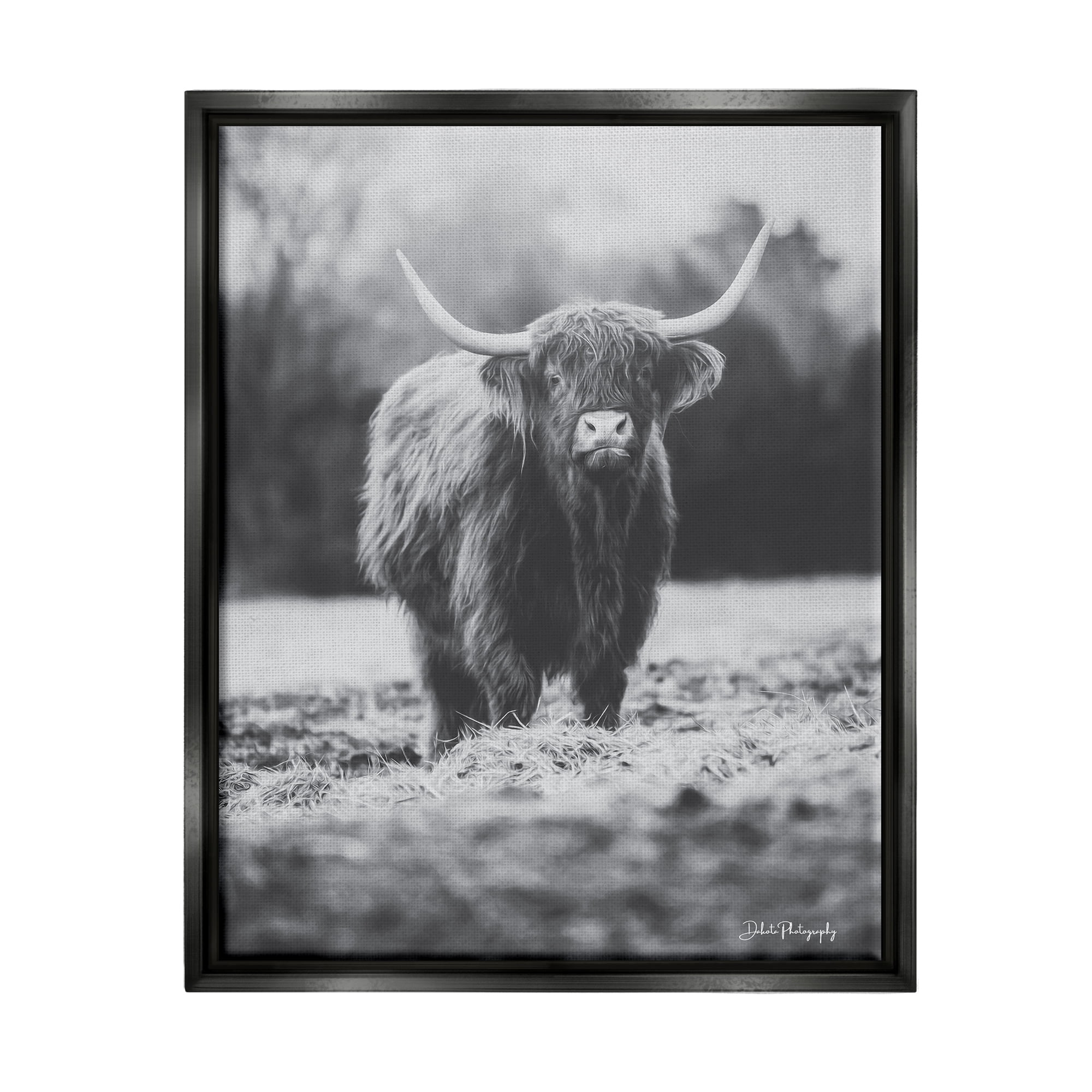 Stupell Grazing Cattle Farmhouse Photography Animals & Insects Photography Black Floater Framed Art Print Wall Art
