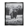 thumbnail image 1 of Stupell Grazing Cattle Farmhouse Photography Animals & Insects Photography Black Floater Framed Art Print Wall Art, 1 of 6