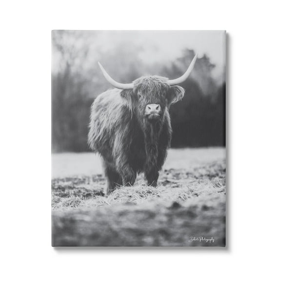 Stupell Grazing Cattle Farmhouse Photography Animals & Insects Photography Gallery Wrapped Canvas Print Wall Art