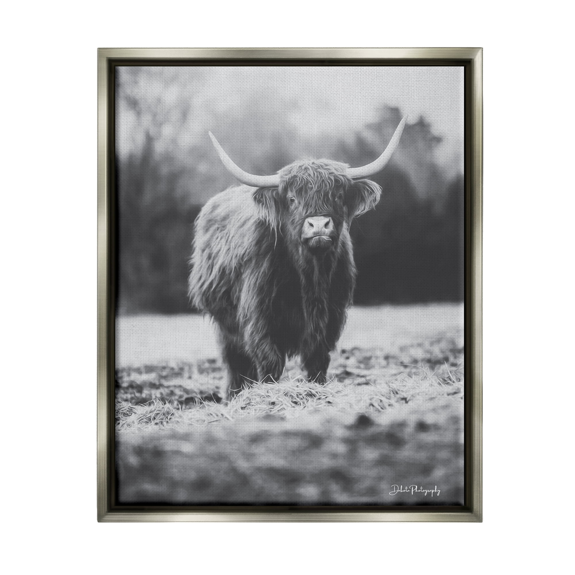 Stupell Grazing Cattle Farmhouse Photography Animals & Insects Photography Gray Floater Framed Art Print Wall Art
