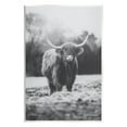 thumbnail image 1 of Stupell Grazing Cattle Farmhouse Photography Animals & Insects Photography Wall Plaque Unframed Art Print Wall Art, 1 of 6