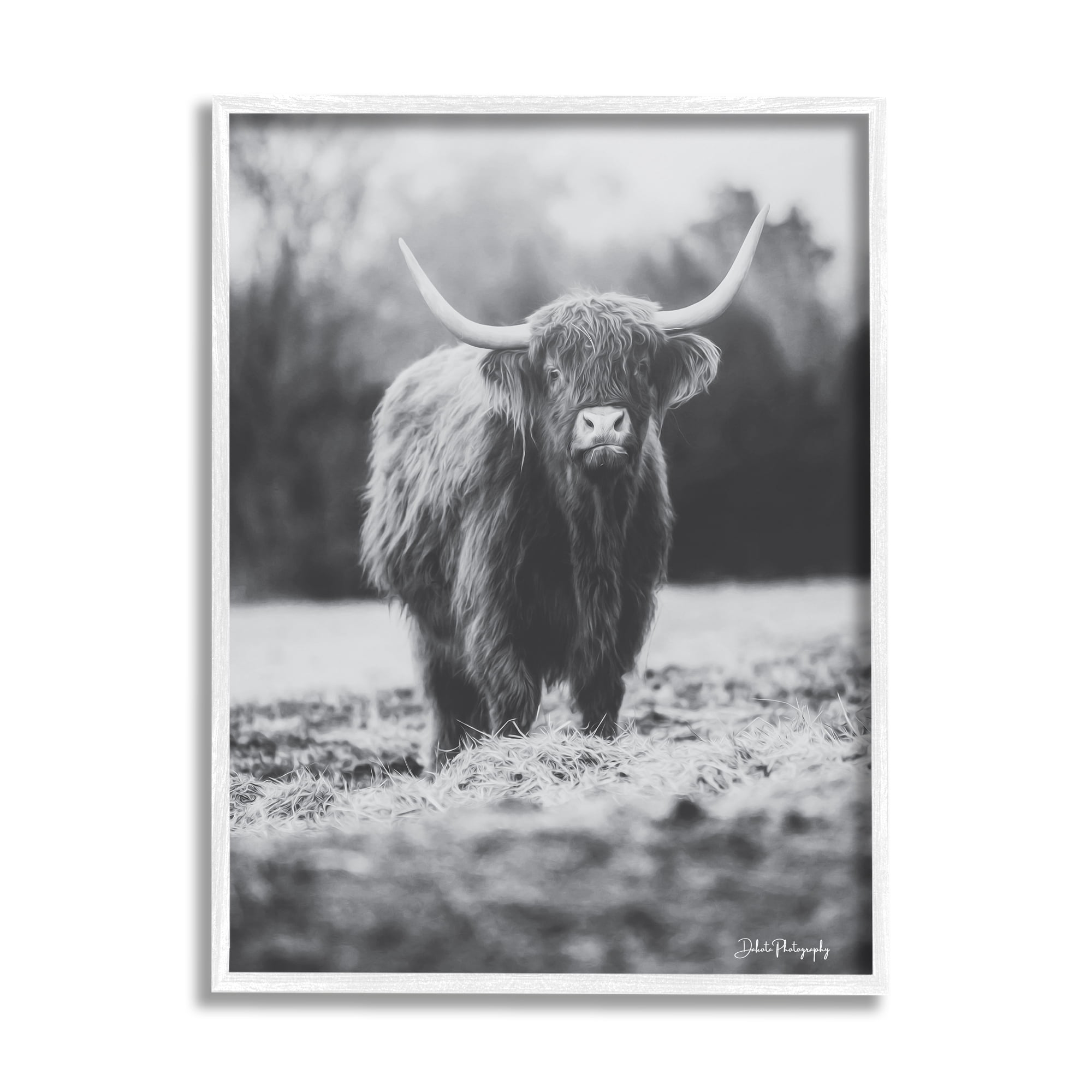 Stupell Grazing Cattle Farmhouse Photography Animals & Insects Photography White Framed Art Print Wall Art