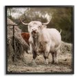 thumbnail image 1 of Stupell Grazing Cattle Hay Bale Farm Animals & Insects Photography Black Framed Art Print Wall Art, 1 of 7