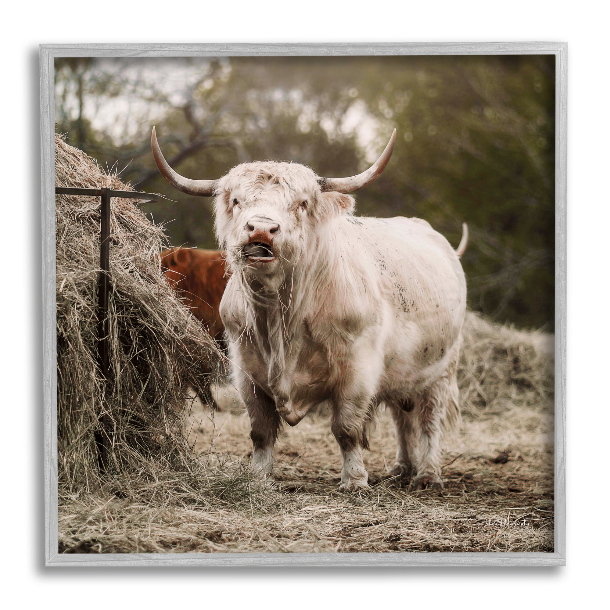 Stupell Grazing Cattle Hay Bale Farm Animals & Insects Photography Gray Framed Art Print Wall Art