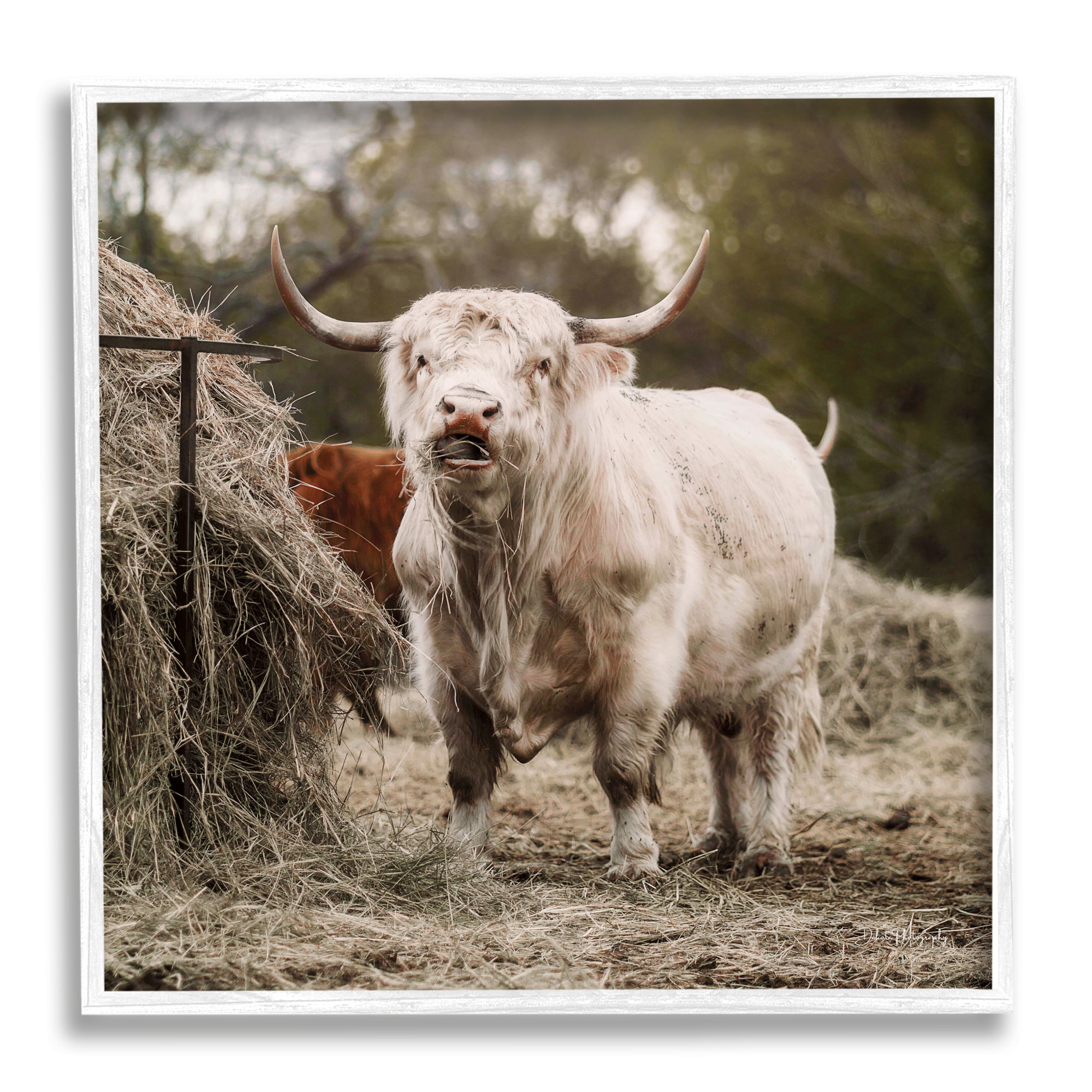 Stupell Grazing Cattle Hay Bale Farm Animals & Insects Photography ...