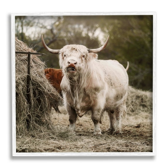 Stupell Grazing Cattle Hay Bale Farm Animals & Insects Photography White Framed Art Print Wall Art