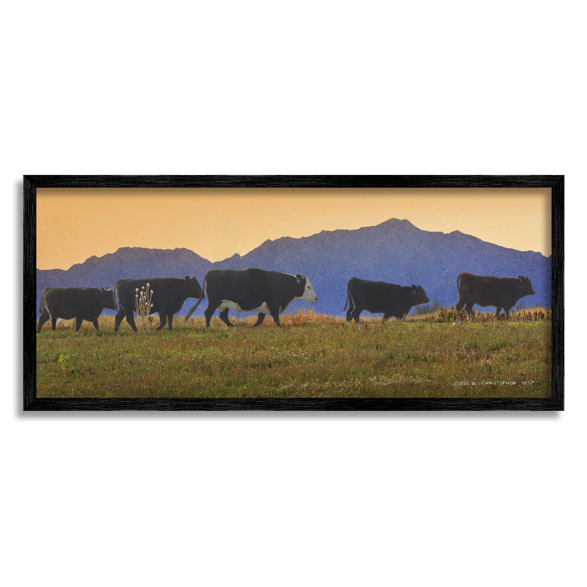 Stupell Grazing Cows Country Meadow Mountains Animals & Insects Photography Black Framed Art Print Wall Art