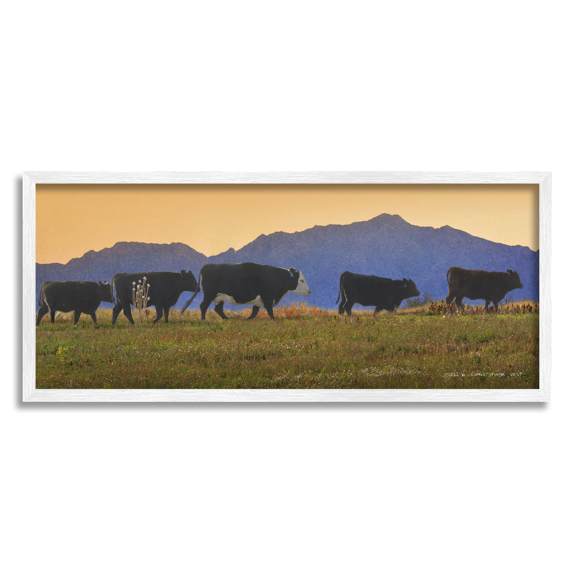 Stupell Grazing Cows Country Meadow Mountains Animals & Insects Photography White Framed Art Print Wall Art