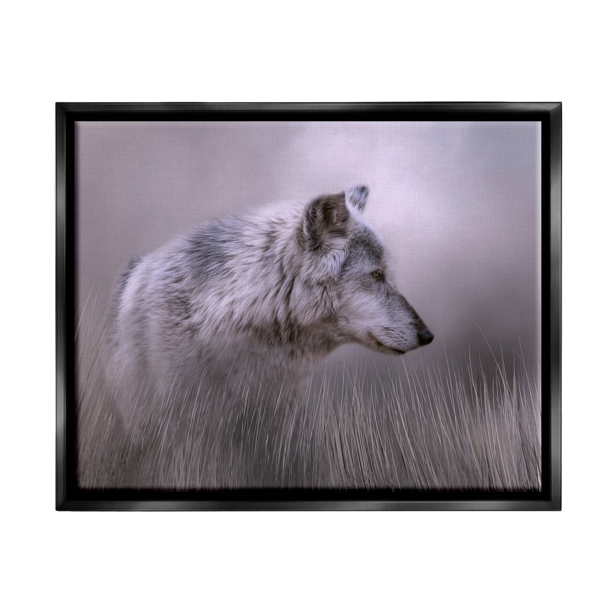 Stupell Grey Wolf Wildlife Photography Animals & Insects Photography Black Floater Framed Art Print Wall Art