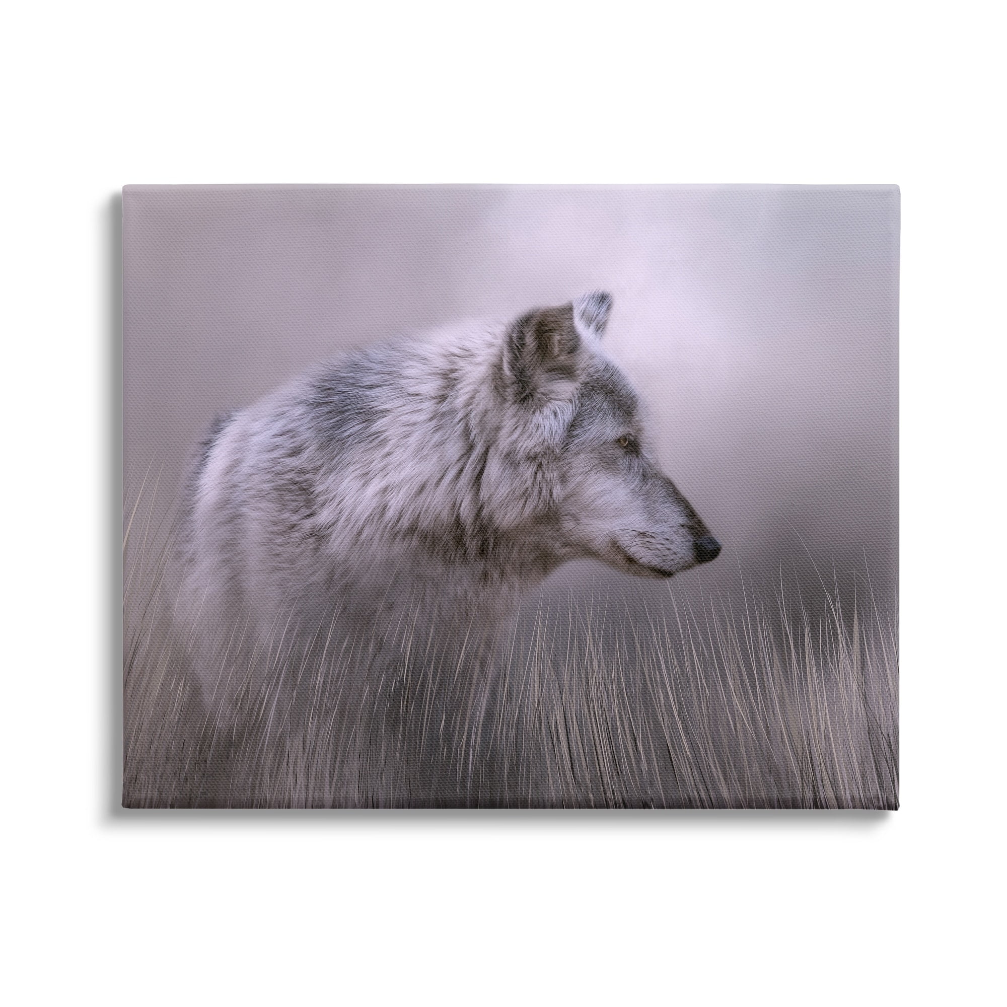 Stupell Grey Wolf Wildlife Photography Animals & Insects Photography Gallery Wrapped Canvas Print Wall Art