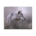 thumbnail image 1 of Stupell Grey Wolf Wildlife Photography Animals & Insects Photography Gallery Wrapped Canvas Print Wall Art, 1 of 5