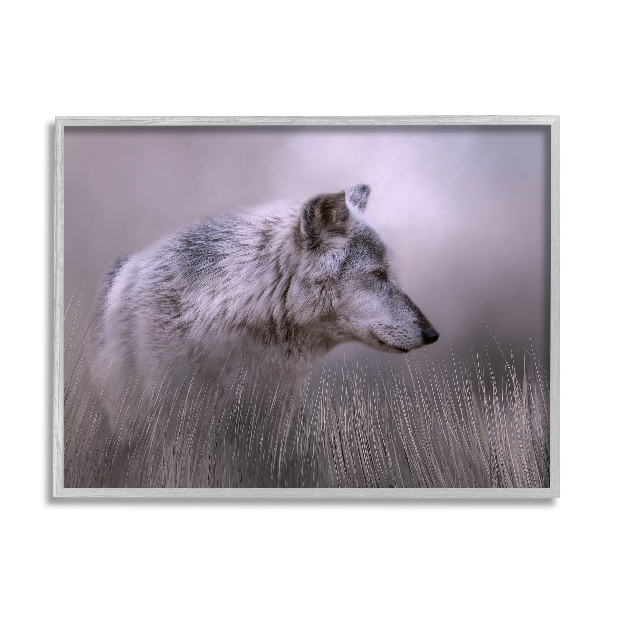 Stupell Grey Wolf Wildlife Photography Animals & Insects Photography Gray Framed Art Print Wall Art