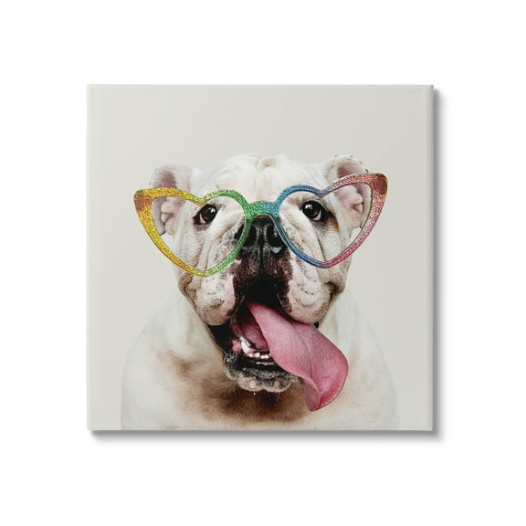 Stupell Happy Bulldog Rainbow Heart Glasses Animals & Insects Painting Gallery Wrapped Canvas Print Wall Art