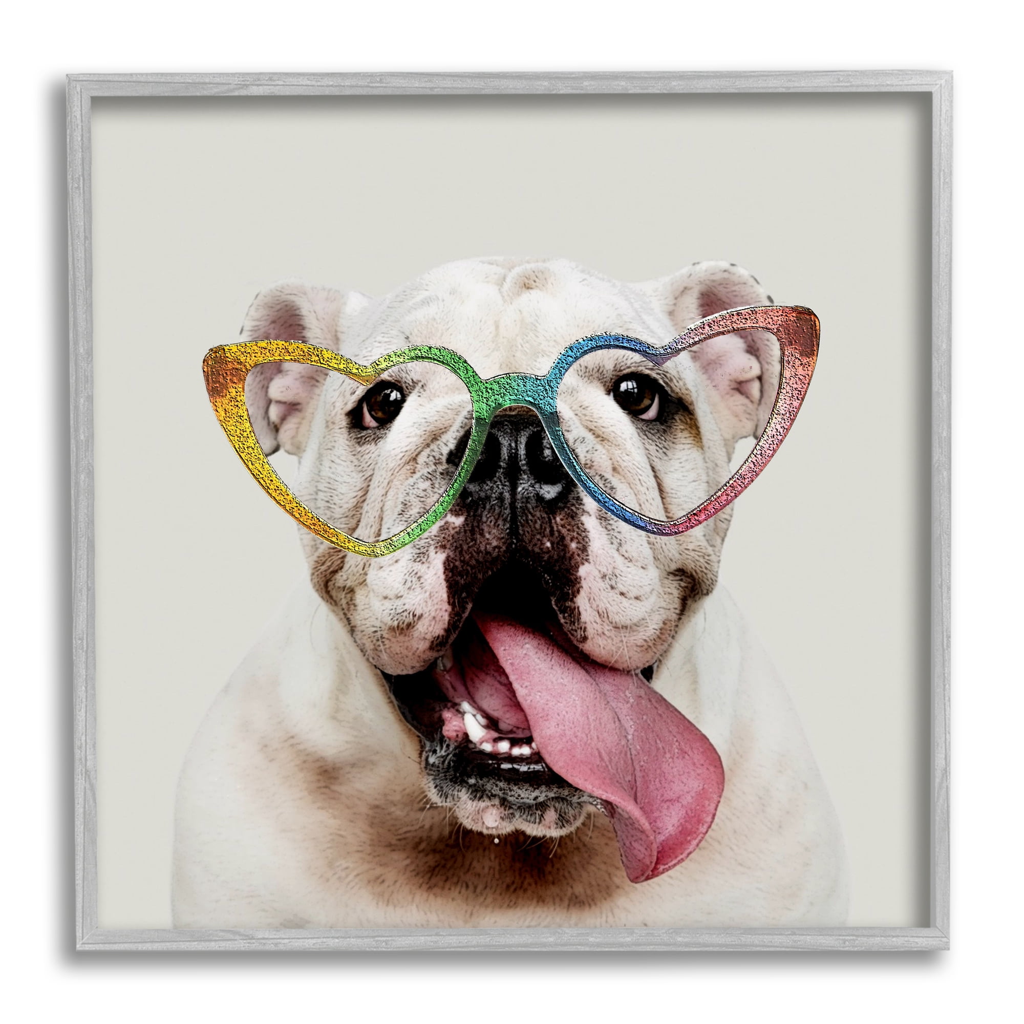 Stupell Happy Bulldog Rainbow Heart Glasses Animals & Insects Painting Gray Framed Art Print Wall Art
