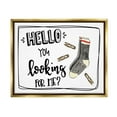 thumbnail image 1 of Stupell Hello Looking For Me Missing Sock Laundry Typography Painting Gold Floater Framed Art Print Wall Art, 1 of 6