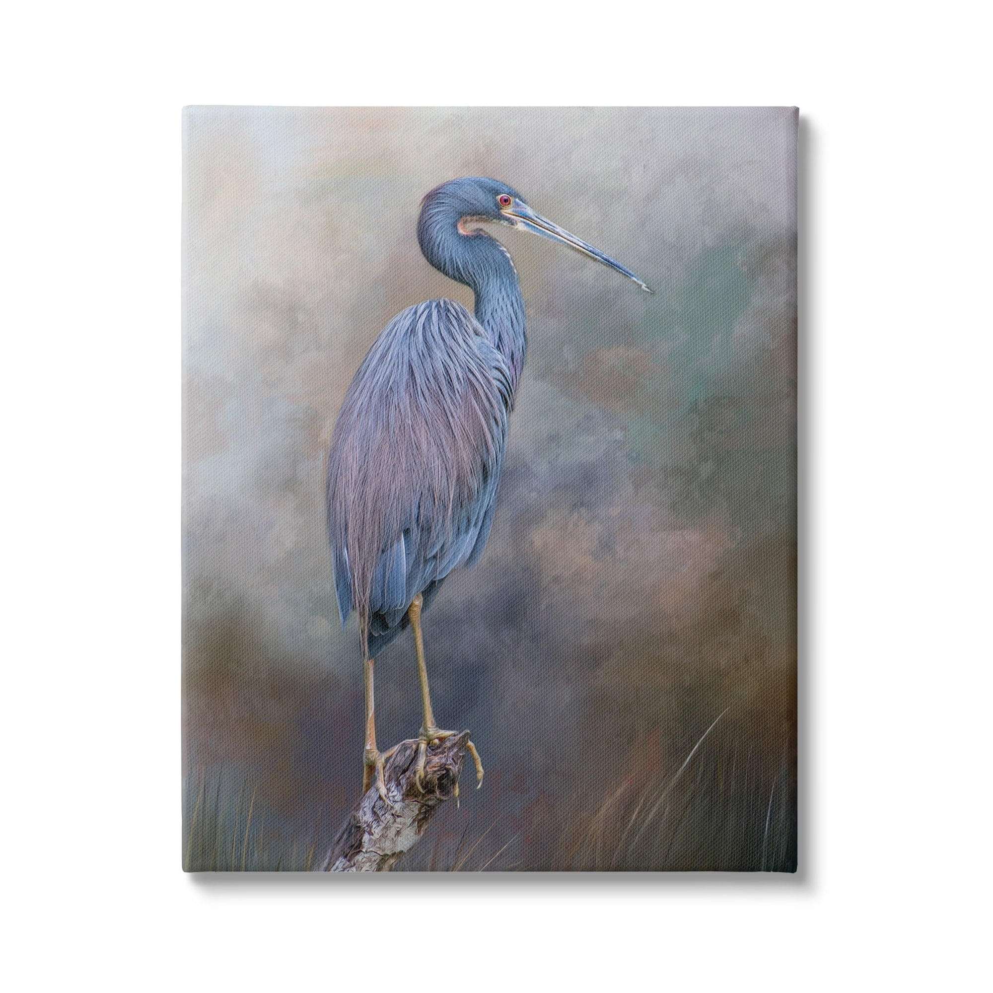 Stupell Heron Bird Perched Woodland Branch Animals & Insects Photography Gallery Wrapped Canvas Print Wall Art