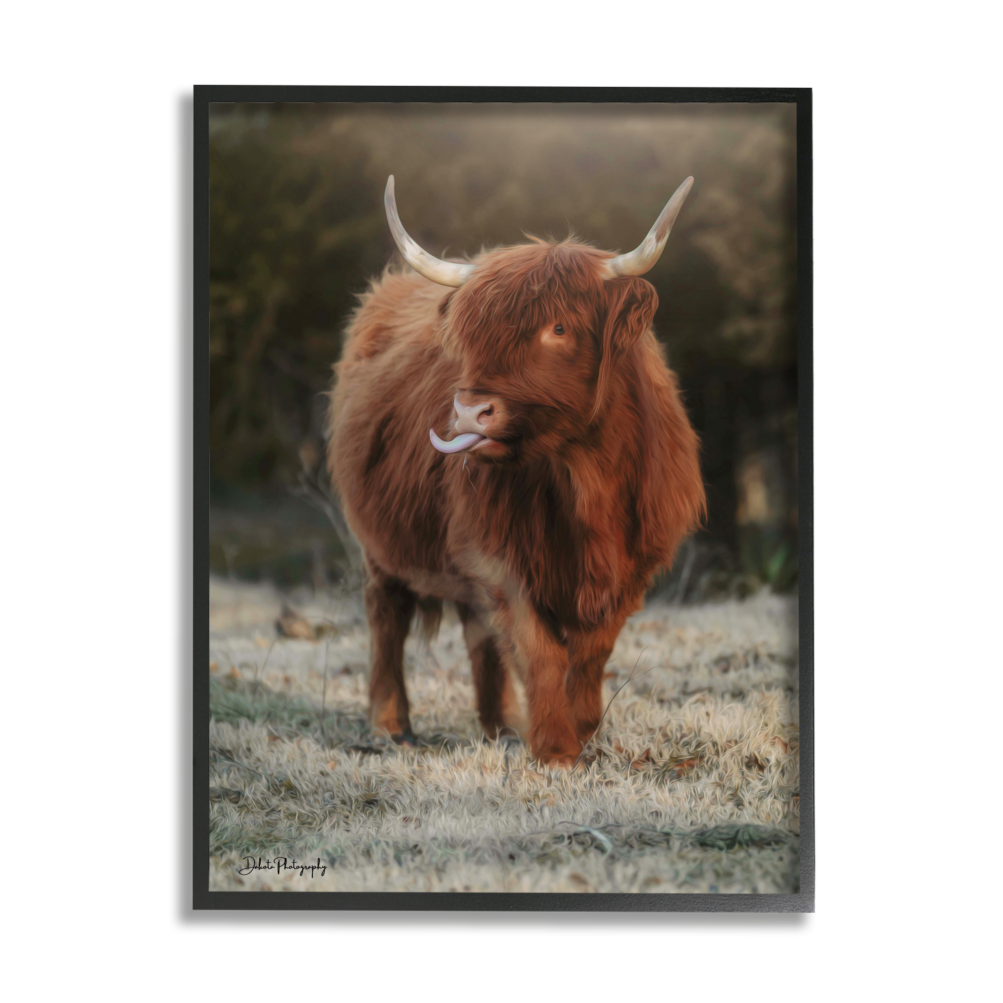 Stupell Highland Cattle Farmhouse Country Animal Animals & Insects Photography Black Framed Art Print Wall Art