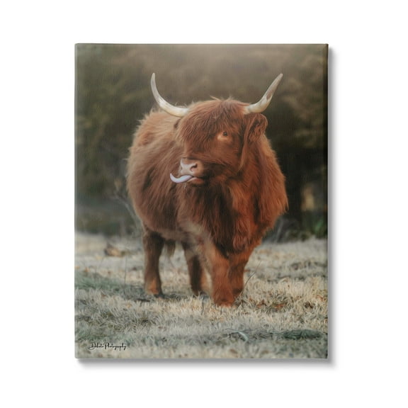 Stupell Highland Cattle Farmhouse Country Animal Animals & Insects Photography Gallery Wrapped Canvas Print Wall Art