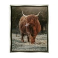thumbnail image 1 of Stupell Highland Cattle Farmhouse Country Animal Animals & Insects Photography Gray Floater Framed Art Print Wall Art, 1 of 6