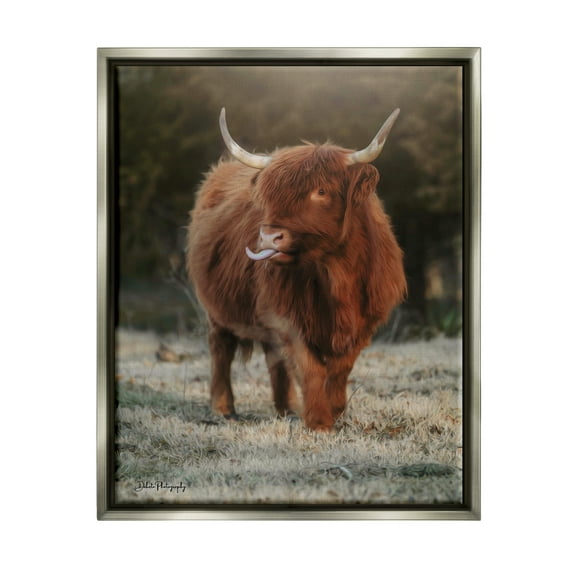 Stupell Highland Cattle Farmhouse Country Animal Animals & Insects Photography Gray Floater Framed Art Print Wall Art