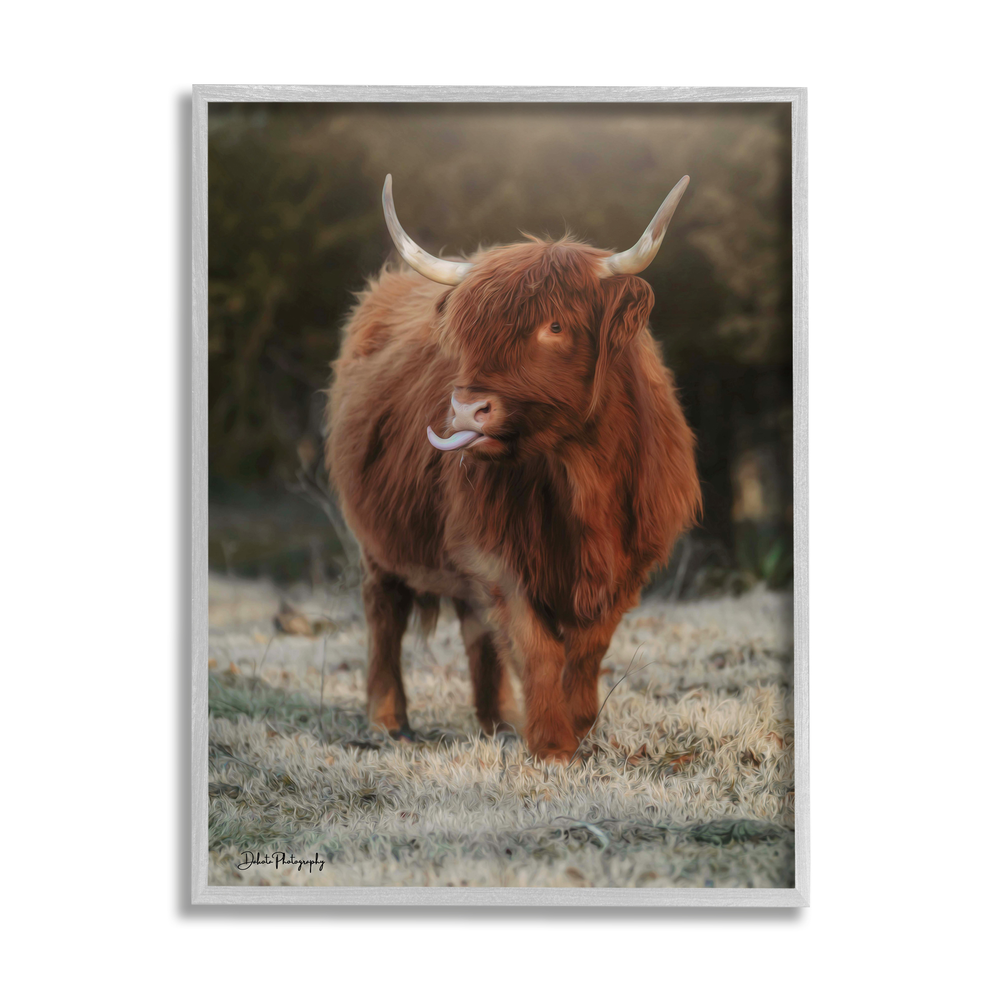 Stupell Highland Cattle Farmhouse Country Animal Animals & Insects Photography Gray Framed Art Print Wall Art
