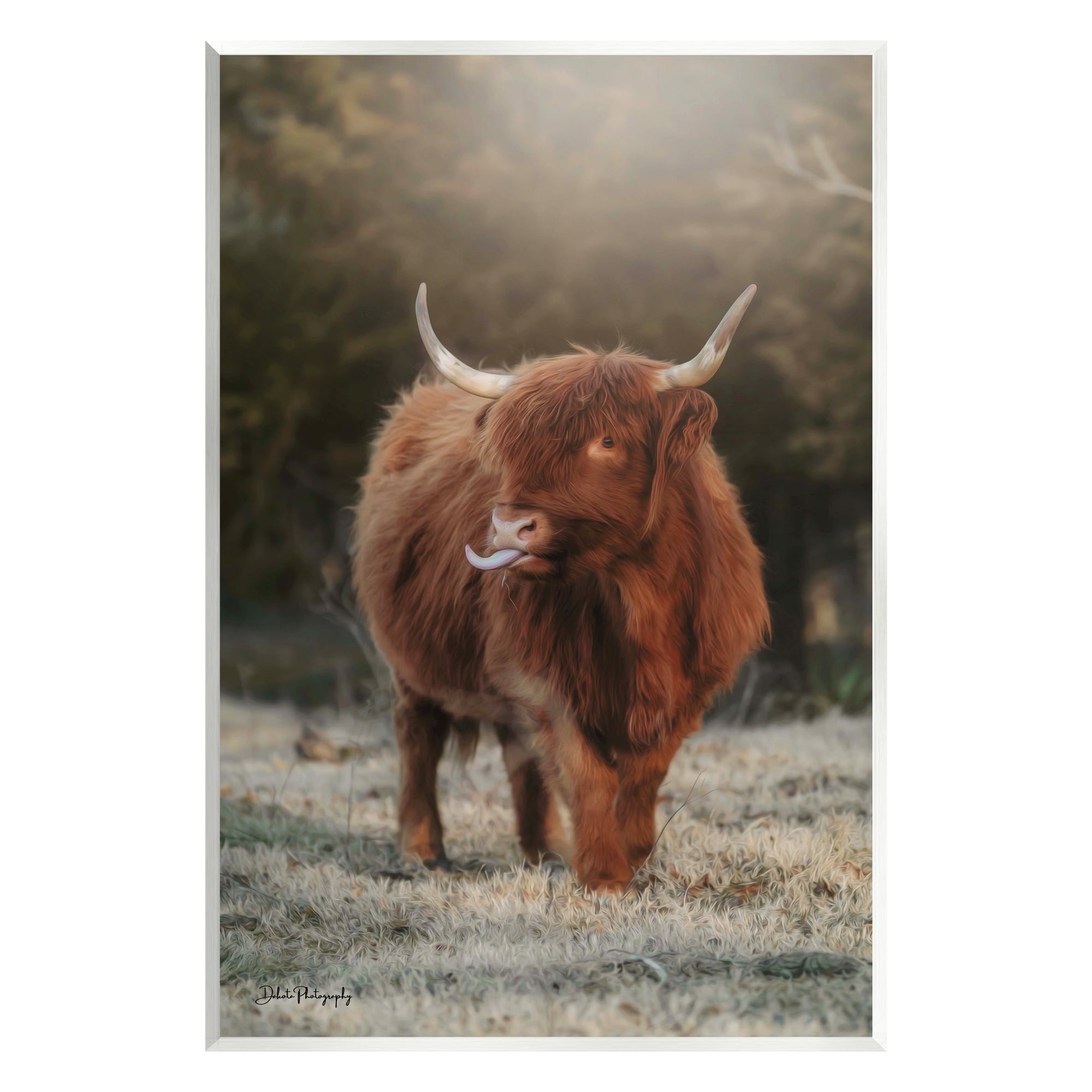 Stupell Highland Cattle Farmhouse Country Animal Animals & Insects Photography Wall Plaque Unframed Art Print Wall Art