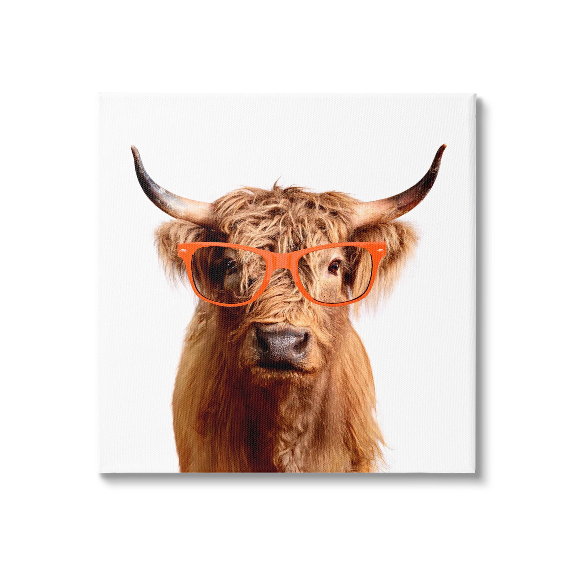 Stupell Highland Cow Farmhouse Fun Glasses Animals & Insects Painting Gallery Wrapped Canvas Print Wall Art