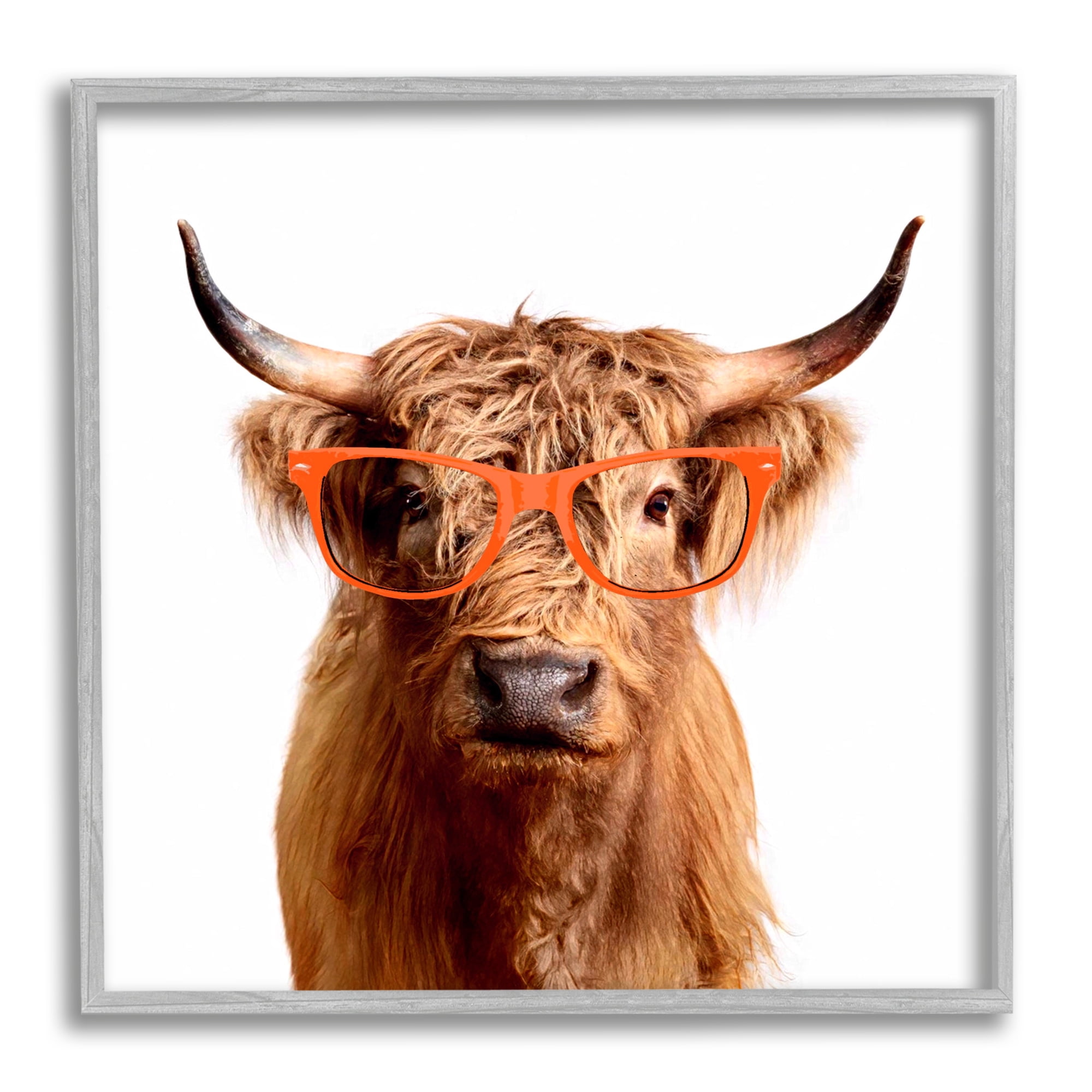 Stupell Highland Cow Farmhouse Fun Glasses Animals & Insects Painting Gray Framed Art Print Wall Art