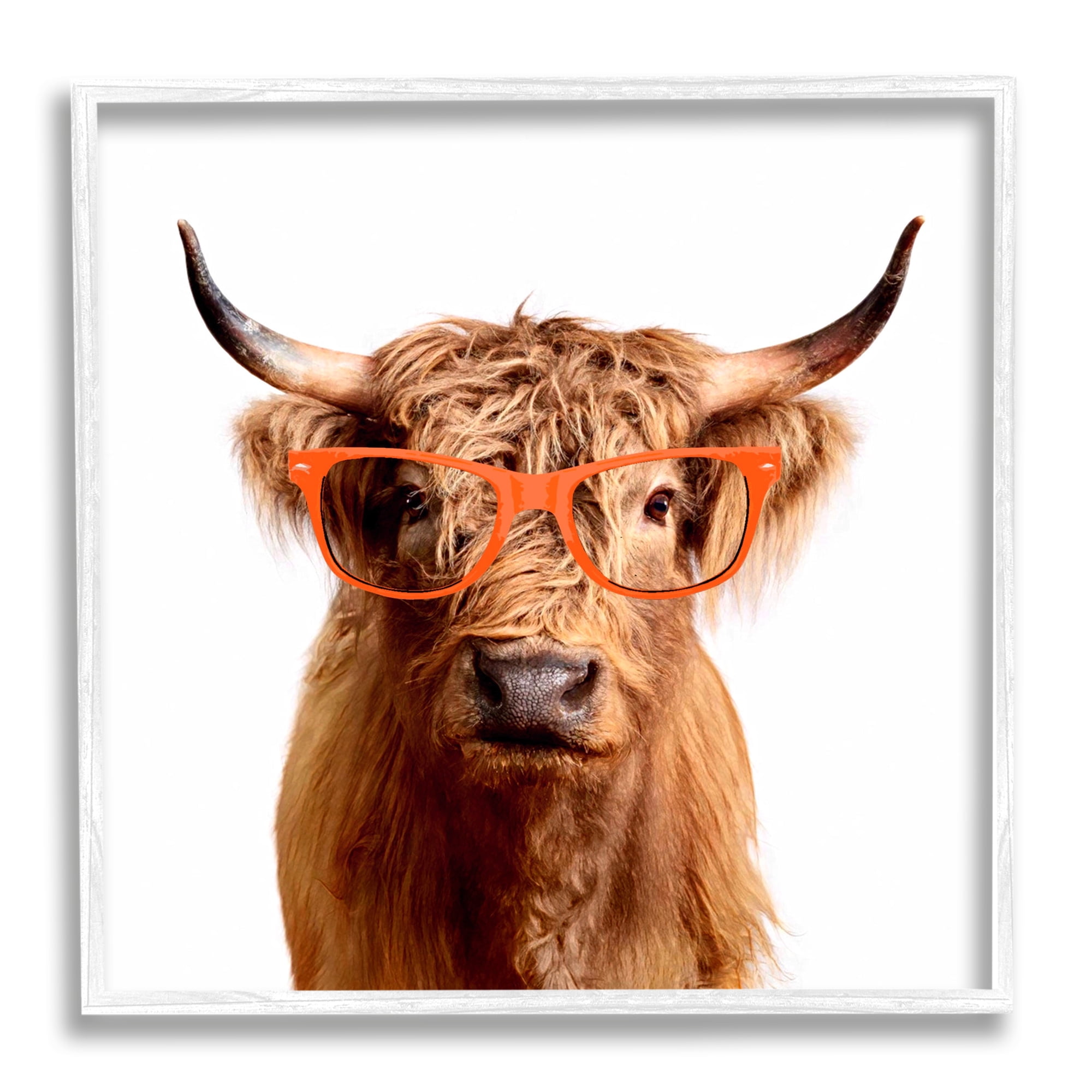 Stupell Highland Cow Farmhouse Fun Glasses Animals & Insects Painting White Framed Art Print Wall Art