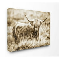 Stupell Home Décor Animal Single Regular Canvas Art Print, by Villager Jim