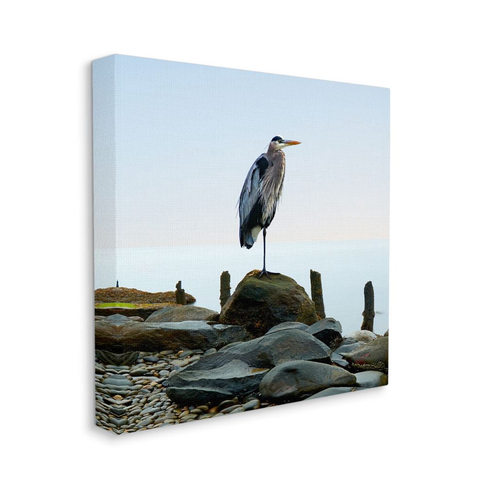 Stupell Home Décor Beach Heron Bird Ocean Animal Photograph Canvas Wall Art by James McLoughlin