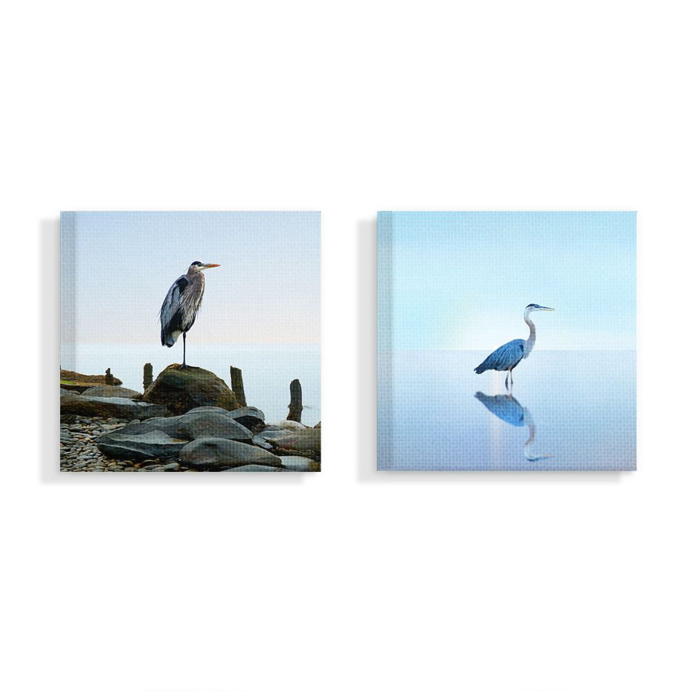 Stupell Home Décor Beach Heron Ocean Animal Photographs Canvas Wall Art by James McLoughlin