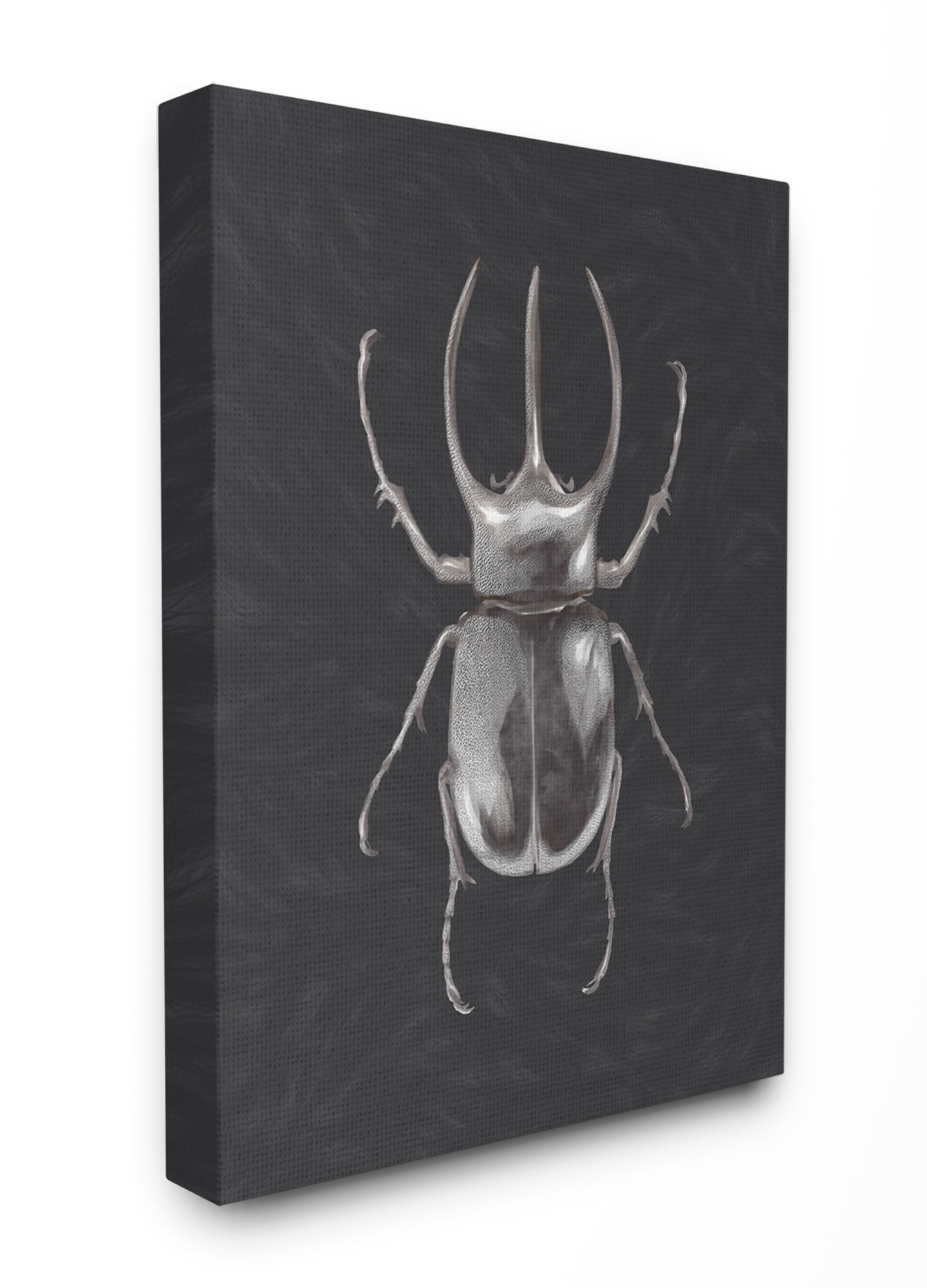 Stupell Home Décor Beetle Neutral Gray Purple Painting Canvas Wall Art by Ziwei Li