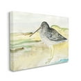 thumbnail image 1 of Stupell Home Décor Bird Encounter Landscape Animal Watercolor Painting Canvas Wall Art by Stellar Studio, 1 of 6