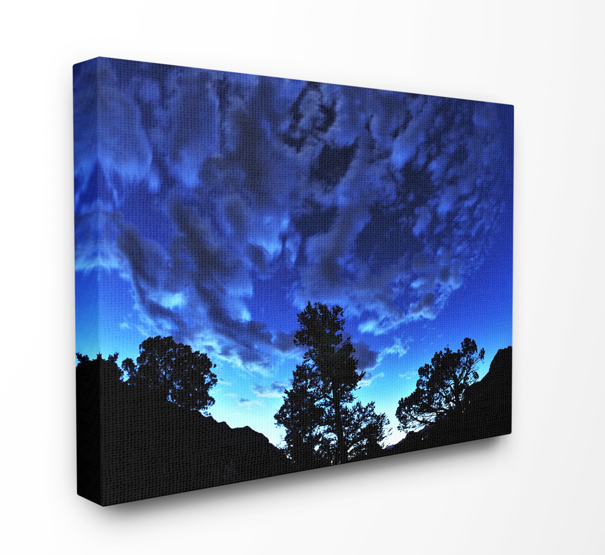 Stupell Home Décor Blue Sky Silhouette Landscape Photograph Canvas Wall Art by Joseph Elliott