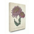 thumbnail image 1 of Stupell Home Décor Botanical Chrysanthemum Flower Drawing Pink Yellow Design Canvas Wall Art by the Saturday Evening Post, 1 of 1
