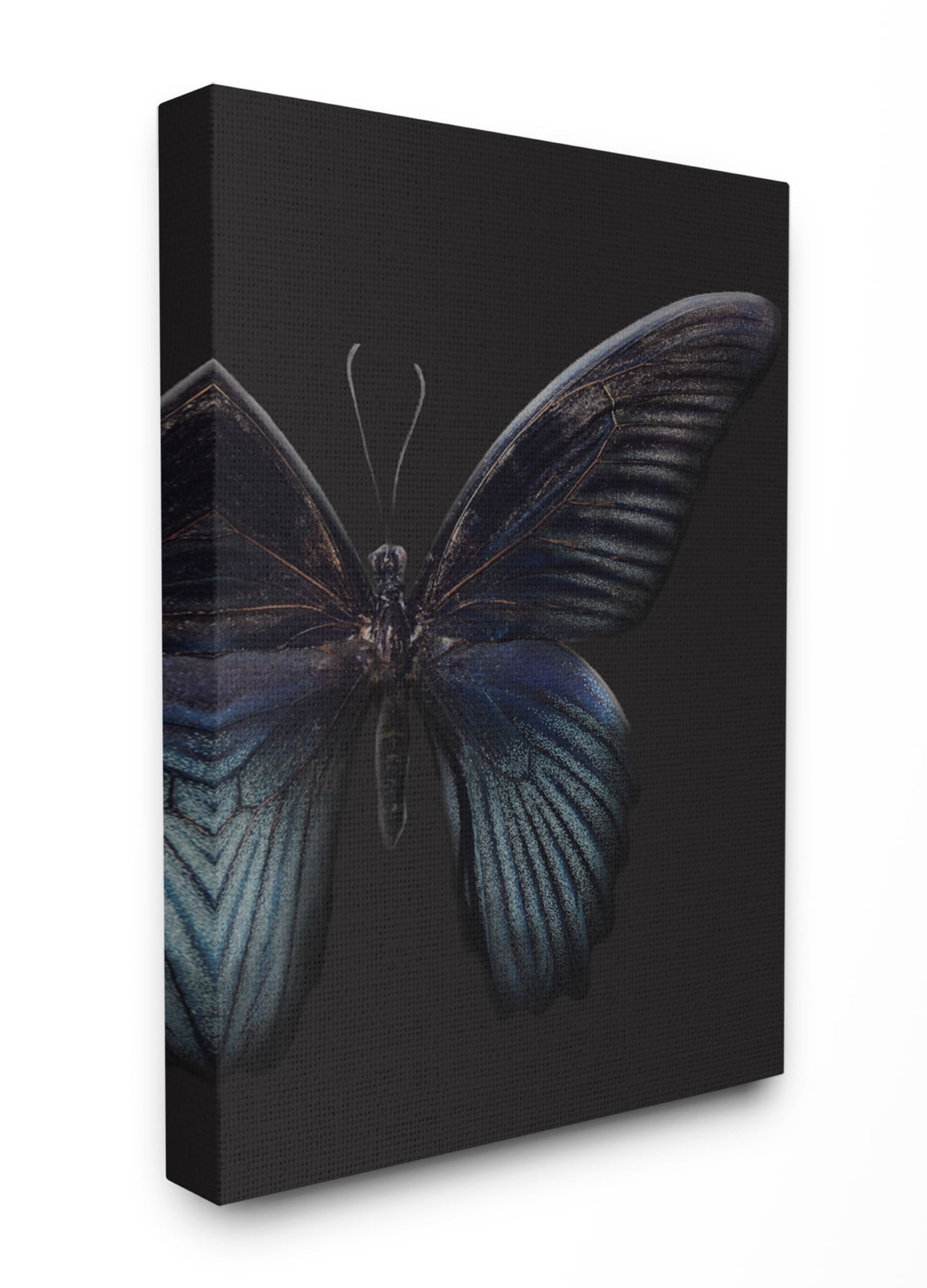 Stupell Home Décor Butterfly Abstract Wings Animal Photograph Canvas Wall Art by Design Fabrikken