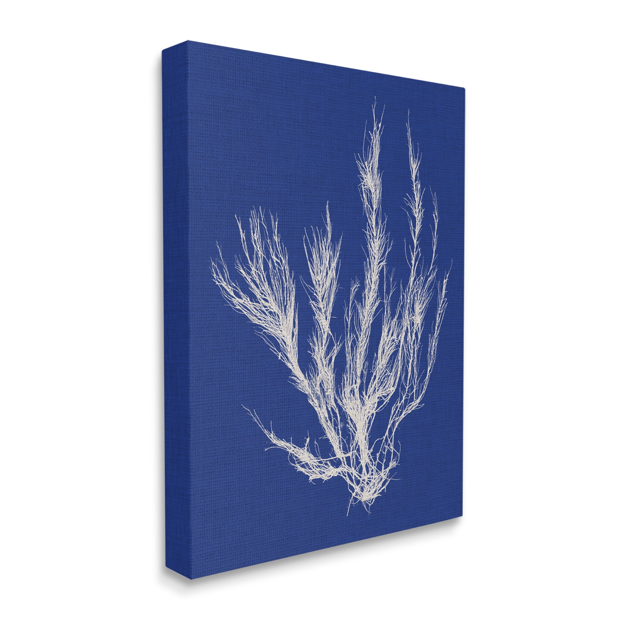 Stupell Home Décor Coral Seaweed Blue White Beach Design Canvas Wall Art by Vision Studio
