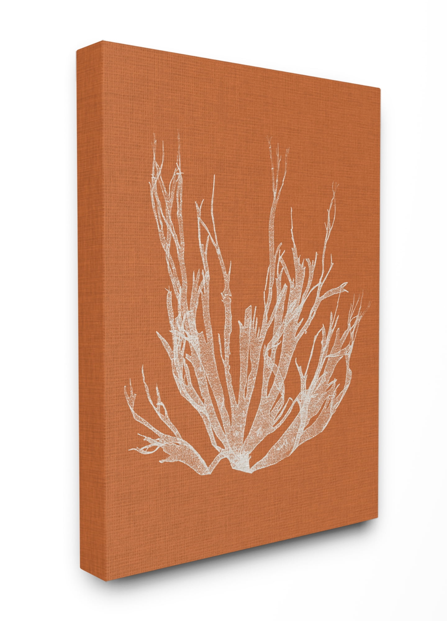 Stupell Home Décor Coral Seaweed Orange White Beach Design Canvas Wall Art by Vision Studio