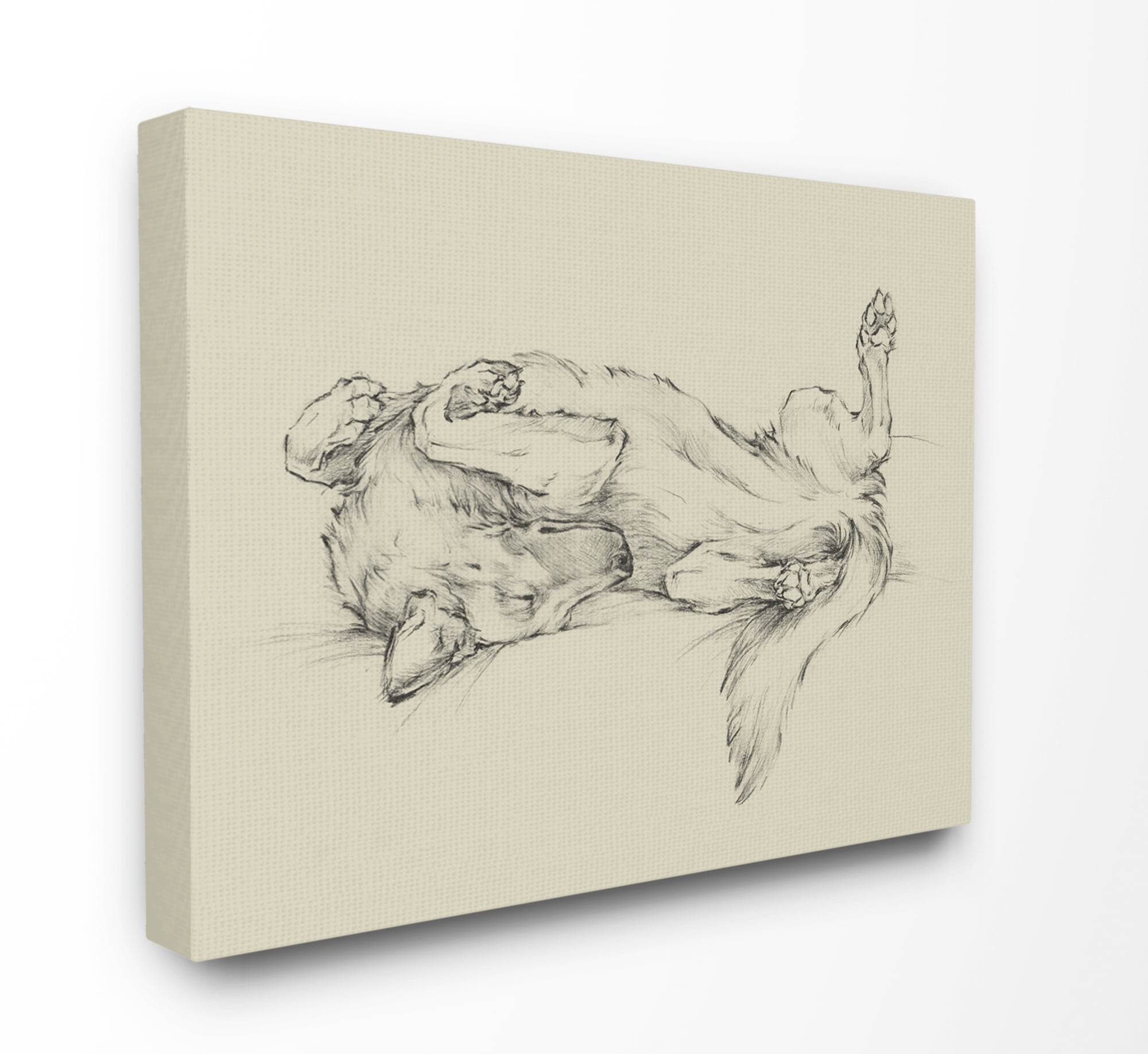 Stupell Home Décor Dog Napping Animal Pet Drawing Canvas Wall Art by Ethan Harper