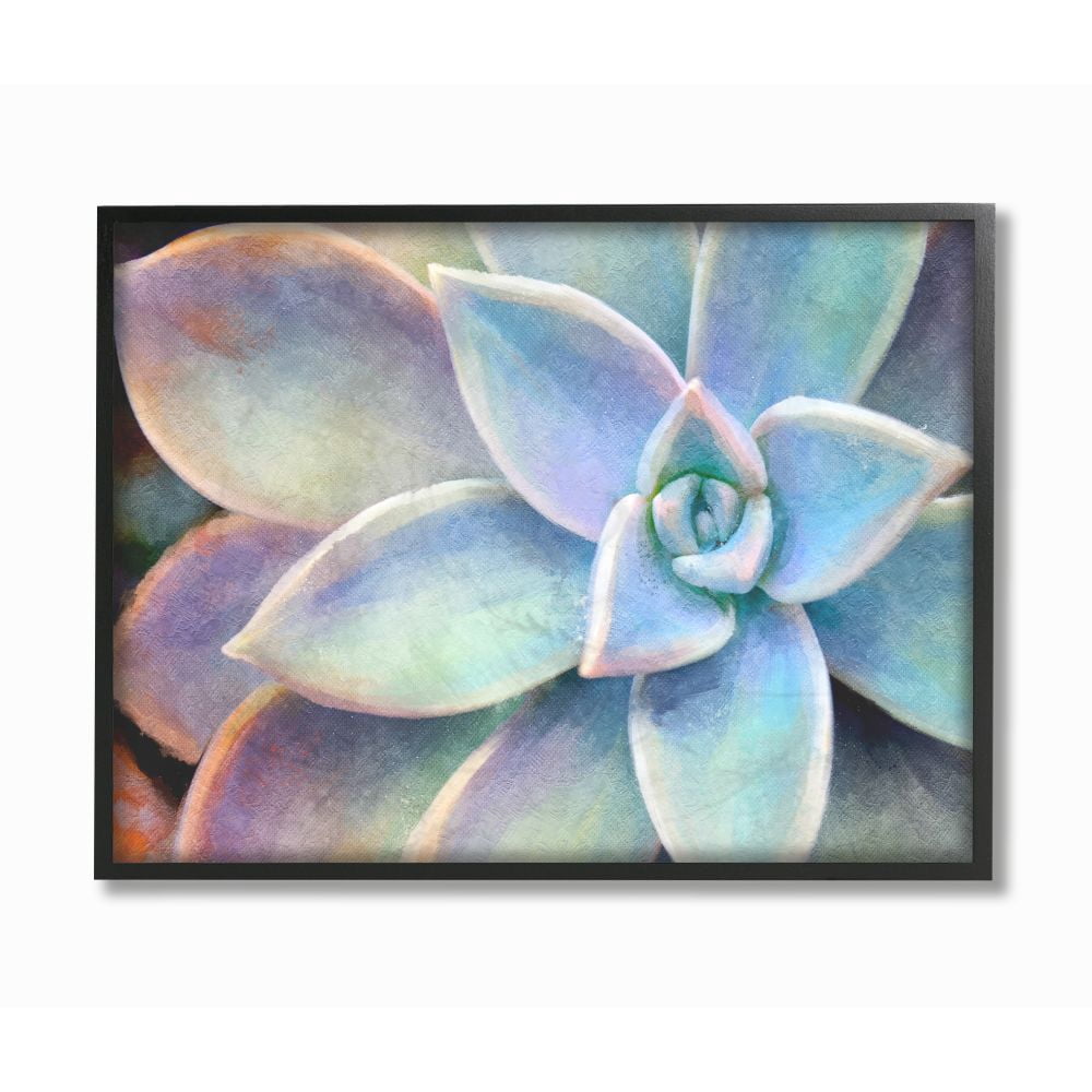 Stupell IndustriesSucculent Plant Vibrant Bloom PaintingFramed Wall Art by Joshua Chace