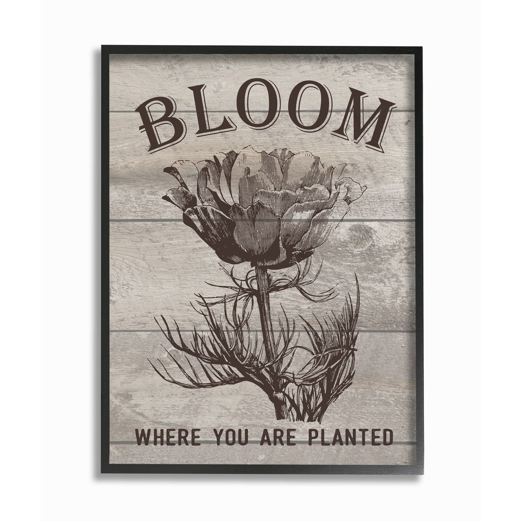 Stupell IndustriesBloom Where You're Planted Vintage Flower Line DrawingFramed Wall Art by Lettered and Lined