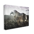 thumbnail image 1 of Stupell Home Décor Horses Together Abstract Silhouette Animal Photograph Canvas Wall Art by Milli Villa, 1 of 6