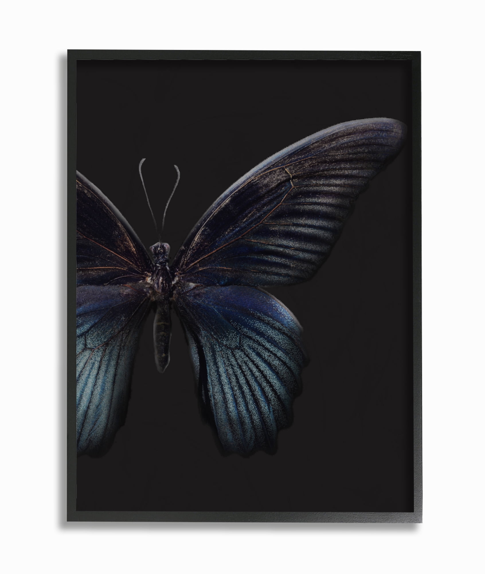 Stupell Home Décor Industries Butterfly Abstract Wings Animal Photograph Framed Wall Art by Design Fabrikken