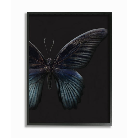 Stupell Home Décor Industries Butterfly Abstract Wings Animal Photograph Framed Wall Art by Design Fabrikken