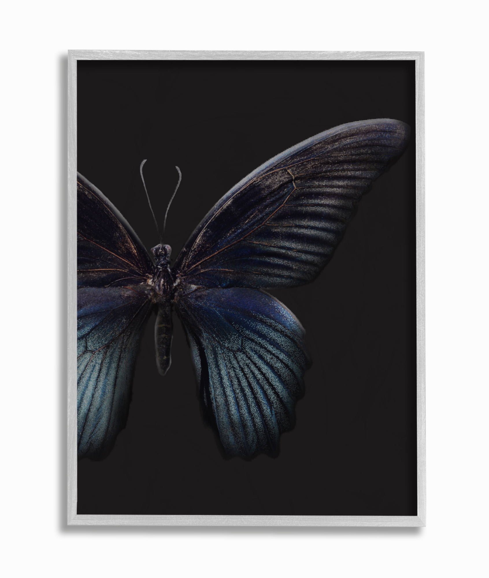 Stupell Home Décor Industries Butterfly Abstract Wings Animal Photograph Framed Wall Art by Design Fabrikken