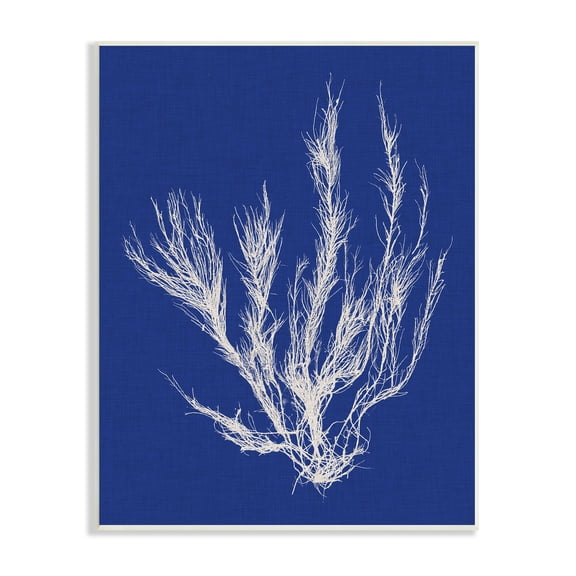 Stupell Home Décor Industries Coral Seaweed Blue White Beach Design Wood Plaque by Vision Studio