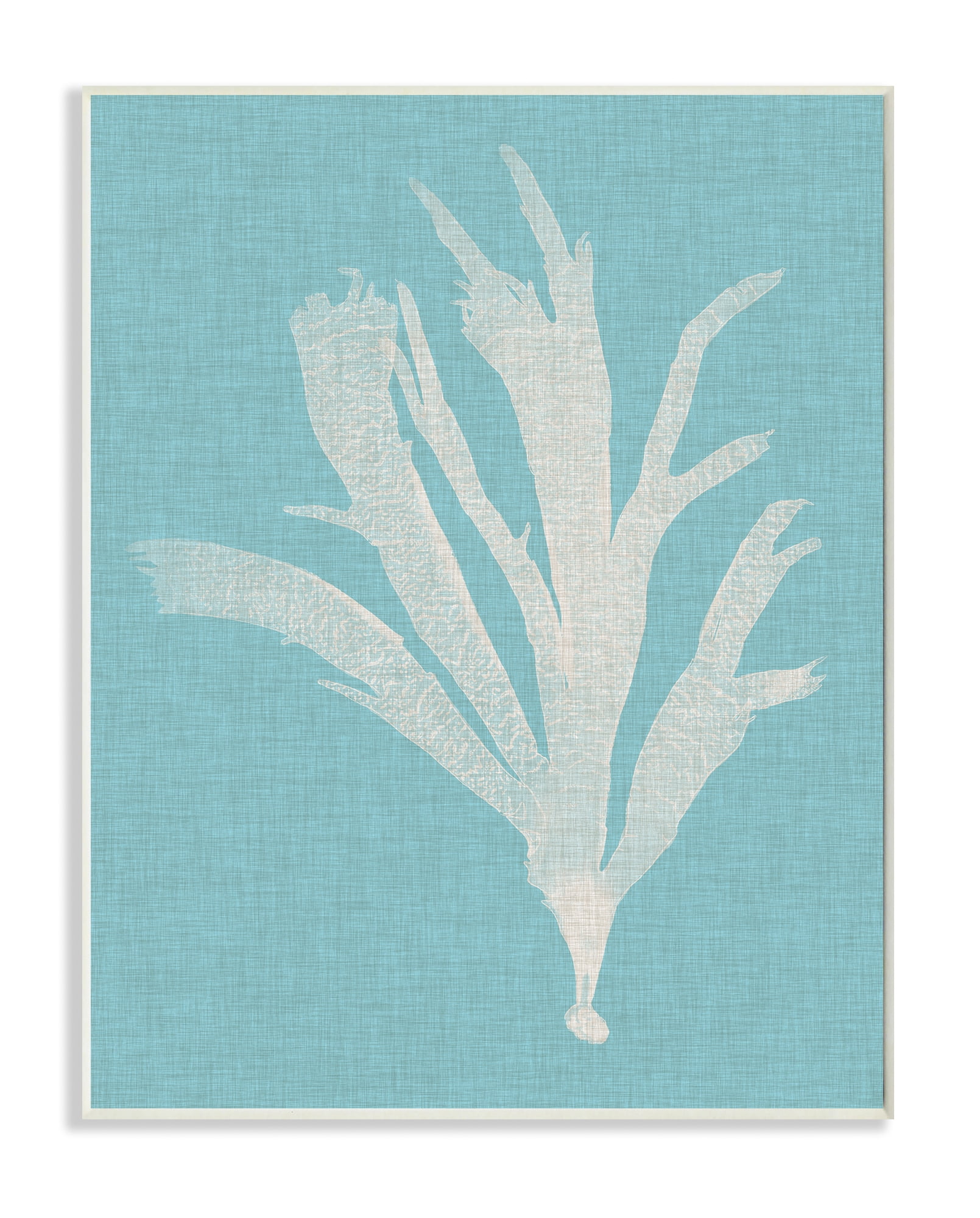 Stupell Home Décor Industries Coral Seaweed Cyan White Beach Design Wood Plaque by Vision Studio