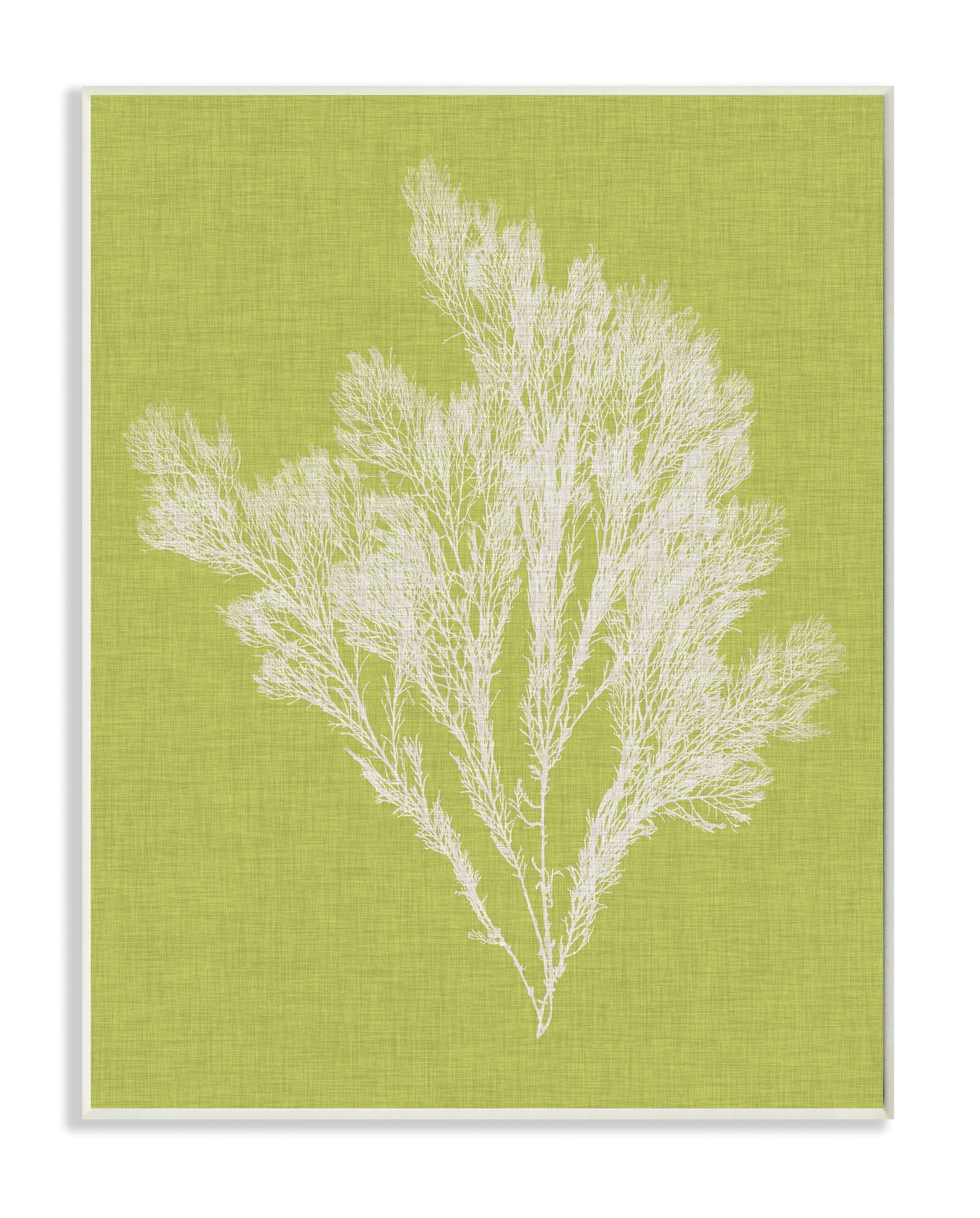 Stupell Home Décor Industries Coral Seaweed Green White Beach Design Wood Plaque by Vision Studio